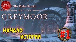 The Elder Scrolls Online - GREYMOOR  НАЧАЛО ИСТОРИИ  Прохождение #1