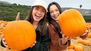 Twins vs Twin! Who picked the Best Pumpkin?