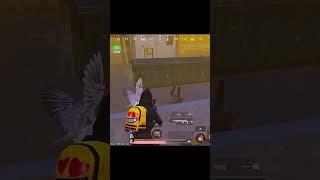 ️‍ #pubgmobile #pubg #pubgm #gaming