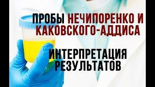 ПРОБА НЕЧИПОРЕНКО │ ПРОБА КАКОВСКОГО-АДДИСА │ ИНТЕРПРЕТАЦИЯ РЕЗУЛЬТАТОВ