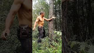 IRON ARMS EXERCISE || EAGLE CLAW KUNGFU TRAINING #kungfu #ironhands