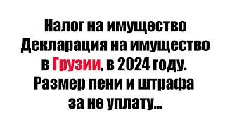 Налог и декларация на имущество в Грузии, в 2024 году. Размер пени и штрафа за не уплату...