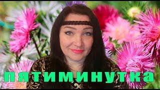 ПЯТИМИНУТКА!!! Я люблю тебя жизнь  Я люблю тебя моя судьба