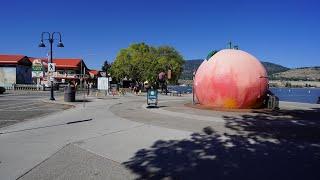 Penticton, British Columbia - Walking Tour in 4K (UHD)