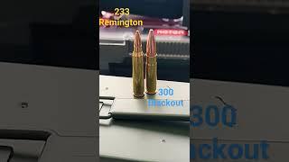 What you need to know: .223 Rem vs 300 Blackout