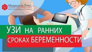 УЗИ на ранних сроках. Как УЗИ на ранних сроках поможет сохранить беременность?