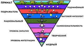 Все уровни Интеллекта Человека за 10 минут