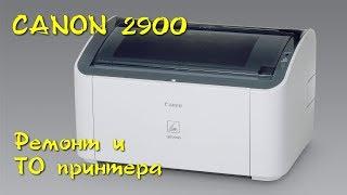 Canon LBP2900 Ремонт и техническое обслуживание