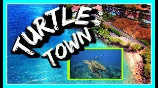 TurtleTown Snorkeling, Maluaka Beach Maui, Hawaii, Turtles