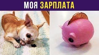 Приколы. МОЯ ЗАРПЛАТА | Мемозг #104