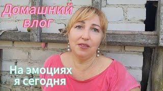 Уволилась с работы/ О жизни собачьей/ Моё мнение по поводу последних новостей Россия - Абхазия