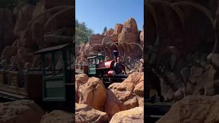 What’s your favorite classic Disney attraction? 