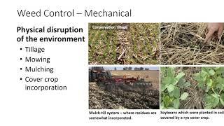 Integrated Weed Management