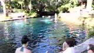 Juniper Springs, Ocala Florida