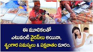 కోయ దొర కుర్రో కుర్రు..| Sammakka Saralamma Jathara 2024 | Medaram Jathara 2024 | Socialpost TV