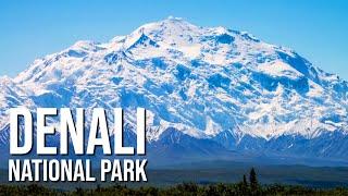 Denali National Park