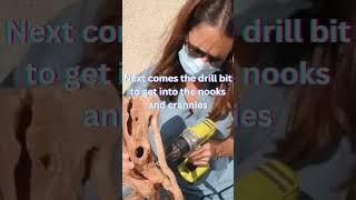 HOW TO MAKE A DRIFTWOOD SCULPTURE!