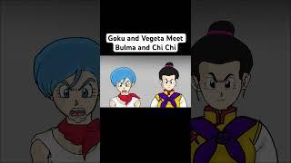 Goku and Vegeta Meet Bulma and Chi Chi #shorts #dragonball #dragonballsuper #goku