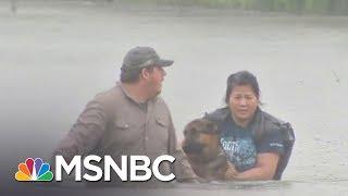 Breaking Hurricane Harvey Down By The Numbers | MSNBC