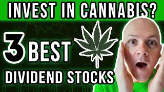 3 Safe Dividend Stocks Making Money From Cannabis | Best Cannabis Stocks