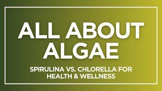 All About Algae: Spirulina vs. Chlorella for Health & Wellness