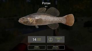 Обзор бесплатной игры Steam  - Russian Fishing 4