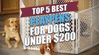 Top 5 Best Playpens for Dogs under $200