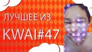 Лучшее из Kwai #47 | Песня про квай