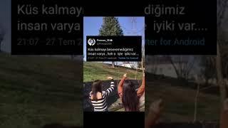 Tik Tok Twitter Videoları | Tik Tok Twitter Akımı | Tik Tok Twitter Akımları