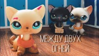 LPS сериал: „Между двух огней” 1 серия [1 сезон]