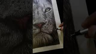 How to draw a lion /art of white lion /realistic sketch of lion #shorts