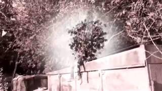 ADILZHAN - SECOND