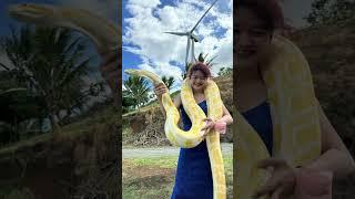 Mt senbrano side trip #bini #prom #solotravel #ootd #travelalone #snakevideo