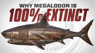 Why Megalodon is 100% EXTINCT