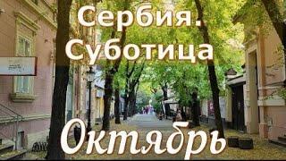 Сербия Суботица Октябрь