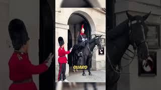 This Smart Horse Bites EVERYBODY Except ONE Person! 