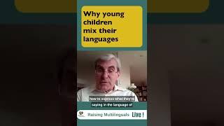 The main reason multilingual children mix languages