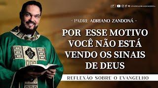 Homilia Diária | Liturgia de Hoje |Palavra do Dia - Padre Adriano Zandoná