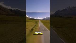 What’s best? #rentalcar or #campervan when #travelling #newzealand #newzealandtraveltips