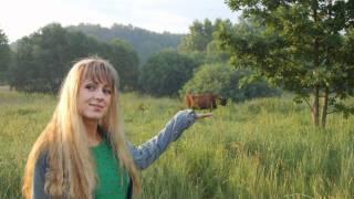 Diana Ross - Almaz cover HD
