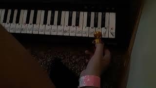 Mr. Trophy plays Joy to the World on piano