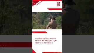 Spotting the big cats! PM Modi at the Bandipur Tiger Reserve in Karnataka