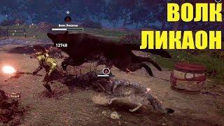 Assassin's Creed Odyssey ОДИССЕЯ  PS4 ВОЛК ЛИКАОН.