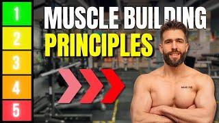 Training Principles to Building Muscle - Personal Training Expert Secrets
