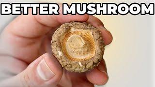 STOP Buying FRESH Mushrooms! You'll Thank you!!