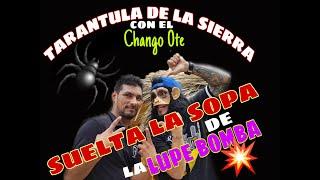 TARANTULA DE LA SIERRA Y EL CHANGO 0TE // solto la sopa sobre la LUPE BOMBA.