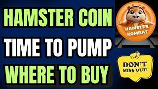  Hamster Price Prediction Today - Hamster Coin News Today - Hamster Coin Hold or Sell