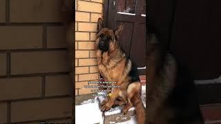 1 февраля 2022 г.