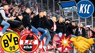 Die 5 BESTEN FANFREUNDSCHAFTEN 2024!