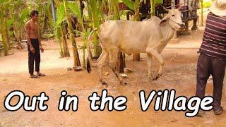 Exploring Siem Reap's countryside.